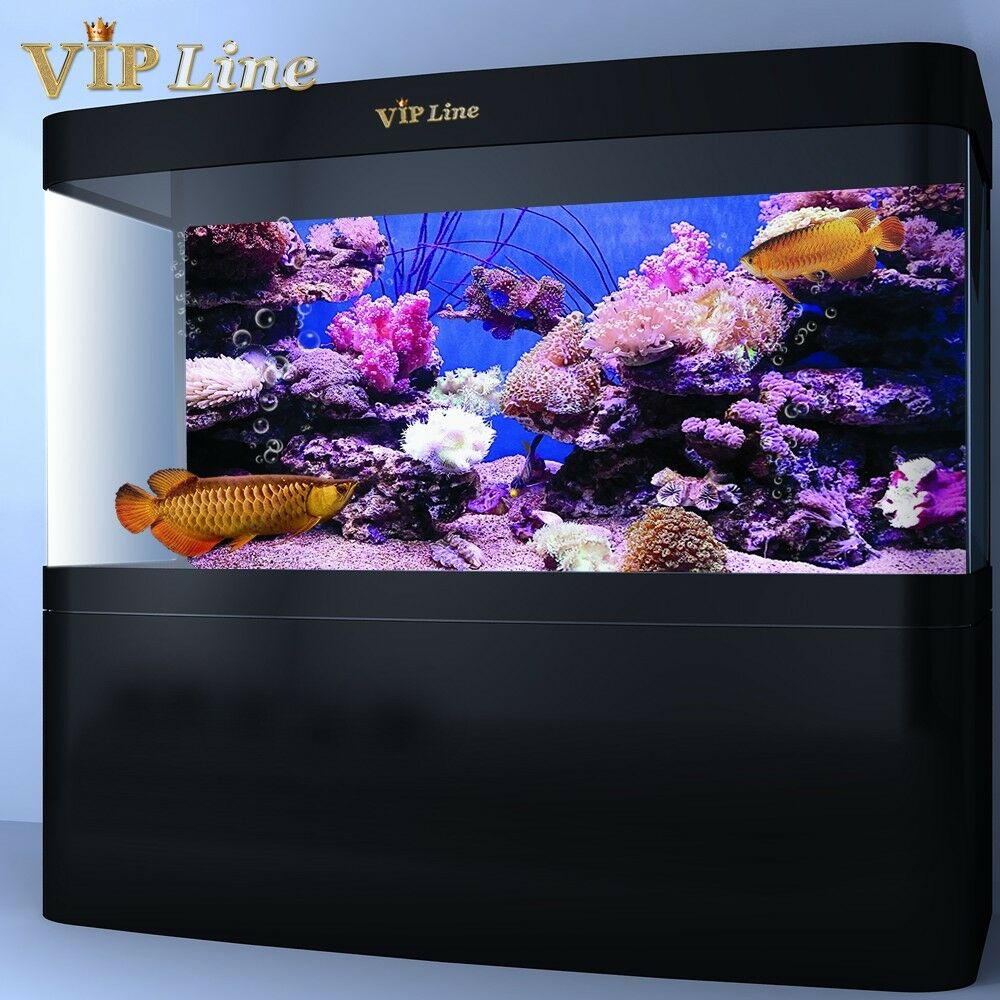 Coral Pvc Aquarium Background Poster Fish Tank Decorations Landscape 24 48 72