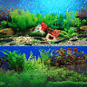 9085 12" X 48" Fish Tank Background 2 Sided River Bed & Lake Background Aquarium
