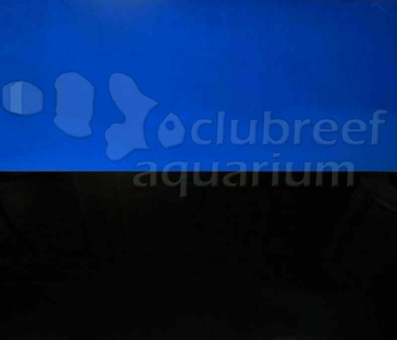 Blue Black Reversible Border-less 24"h Aquarium Background Various Lengths