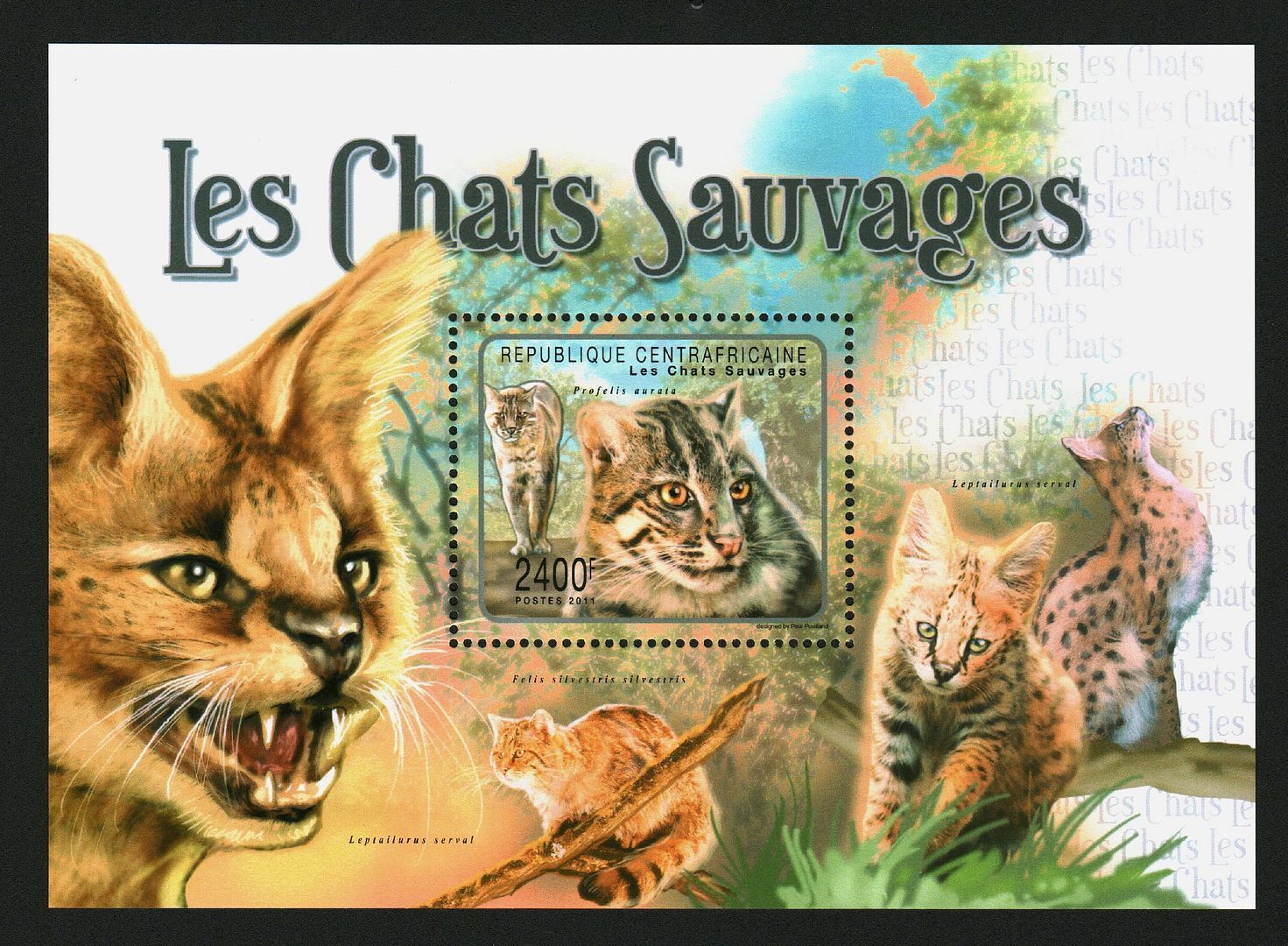 Central Africa 2011 Stamps Sheet Wild Cats Mnh #14256
