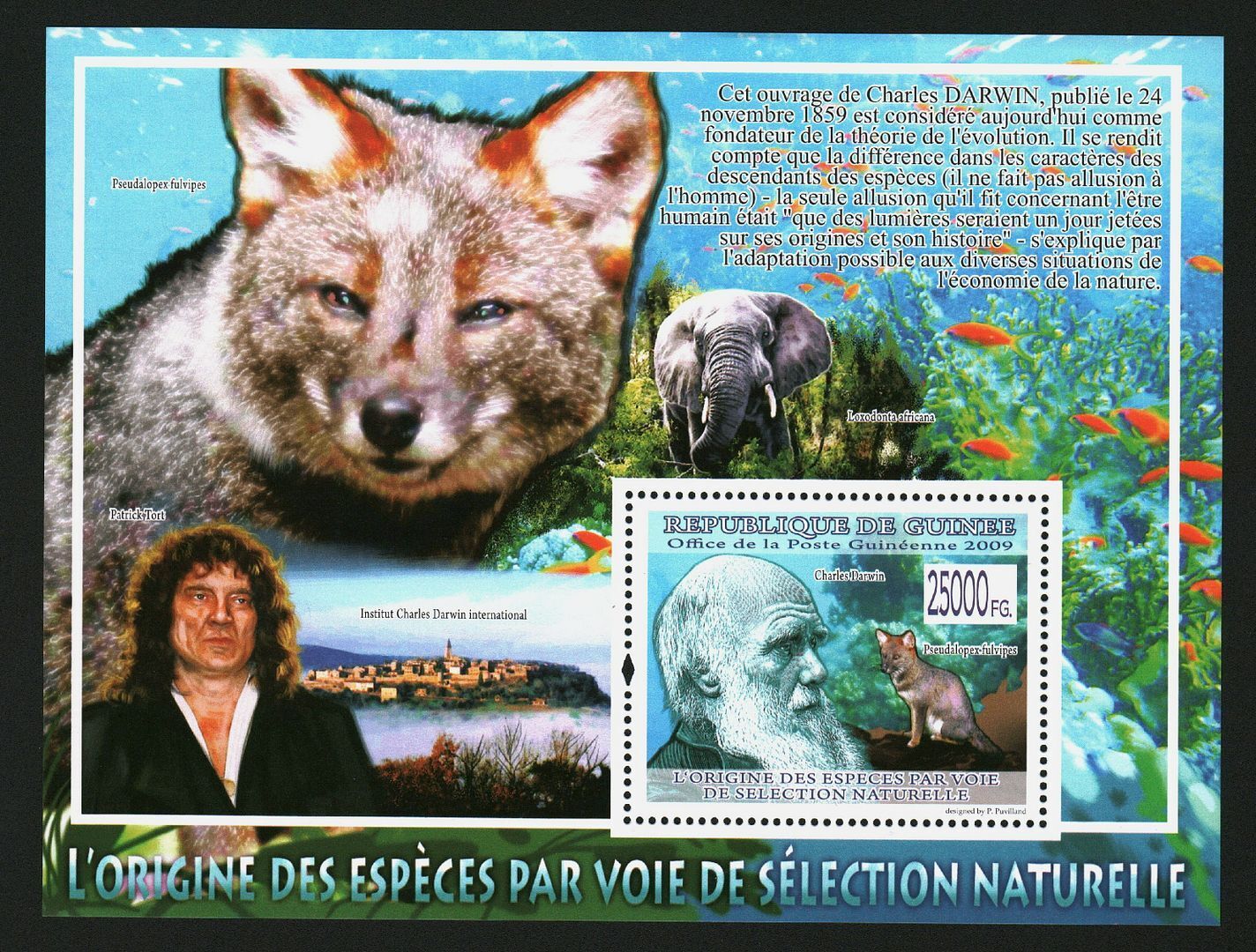 Guinea 2009 Stamps Sheet The Origin Of Species  Mnh #14388