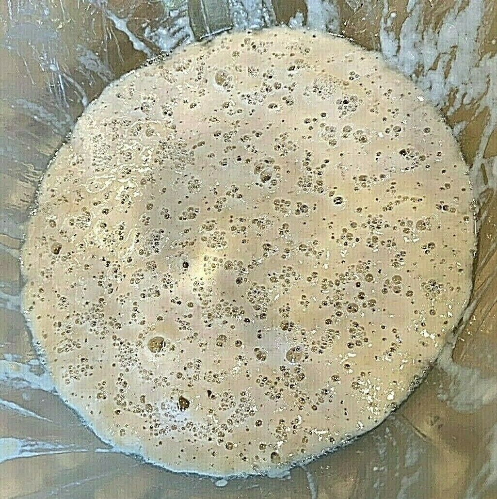 Sourdough Starter Yeast Frontier 100 Yr Old Very Strong/active Extra Sour (f)
