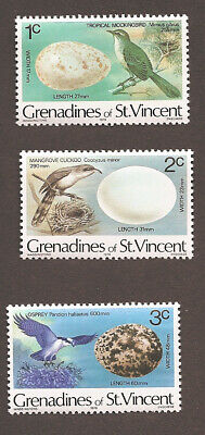 Grenadines Birds And Eggs (3)